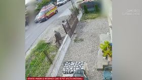 VIDEO Tragedie în Argeș! Un student la medicină a murit într-un accident provocat de un teribilist pe șosea